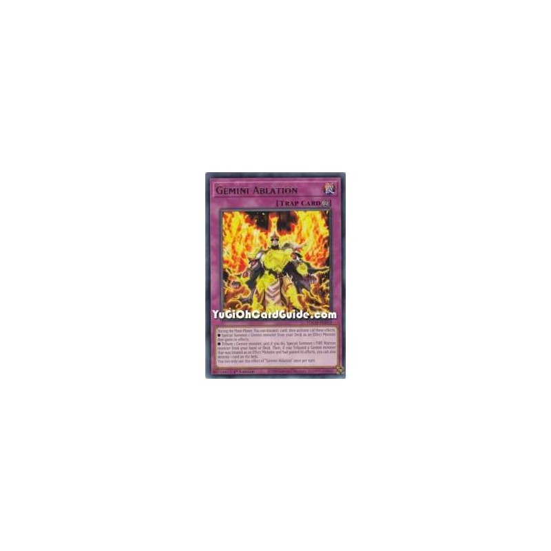 Gemini Ablation (Rare)