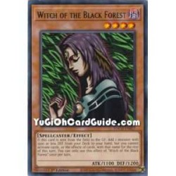 Witch of the Black Forest...