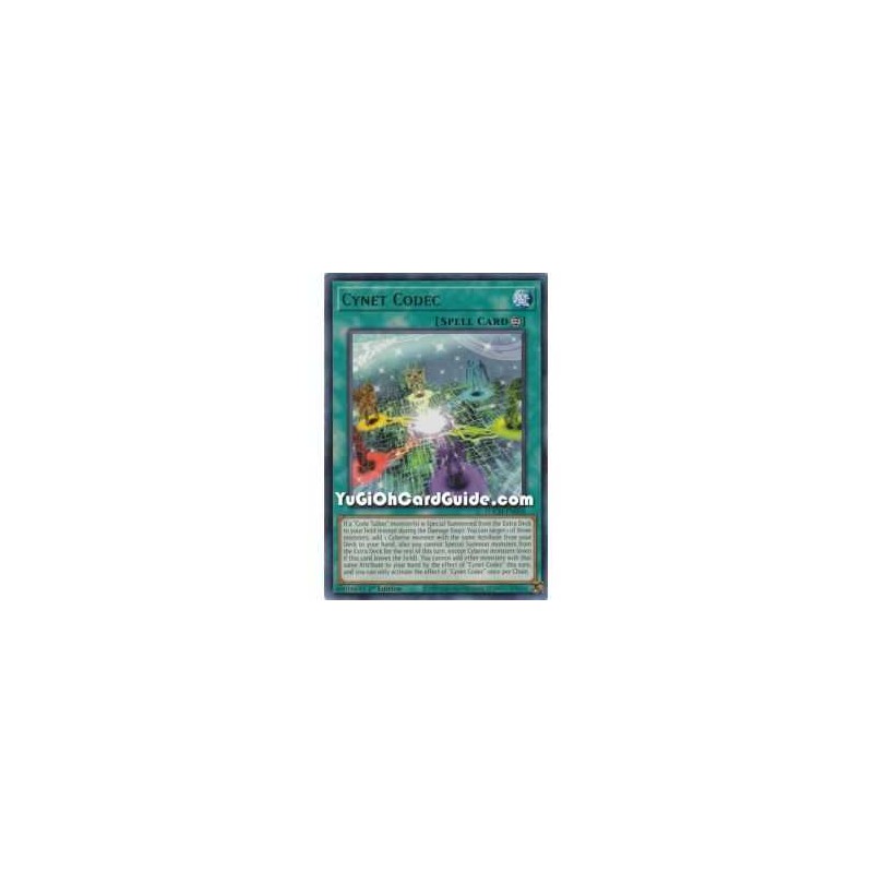 Cynet Codec (Rare)
