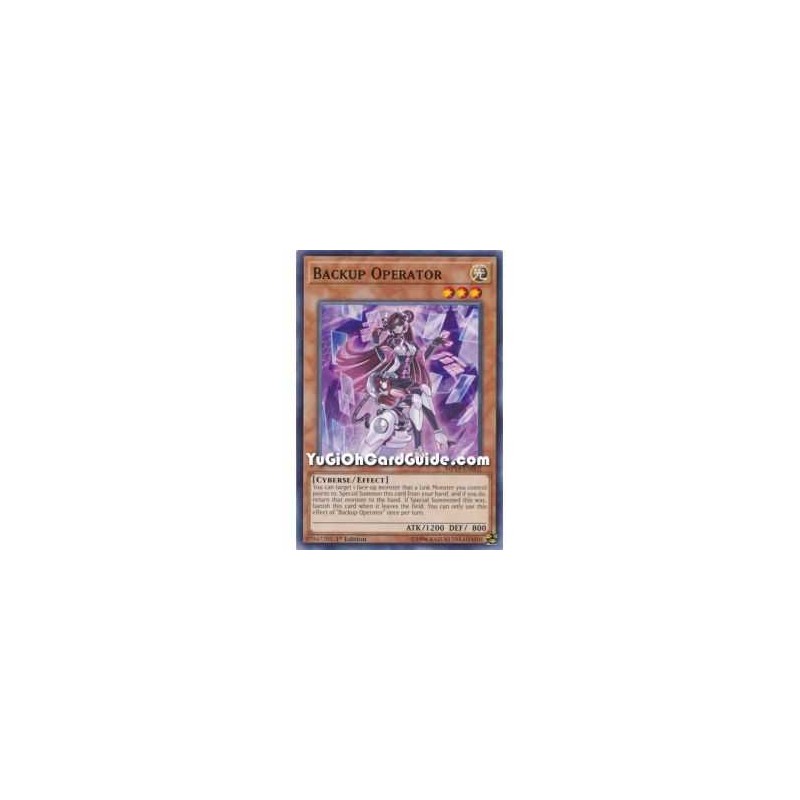 Backup Operator (Common)