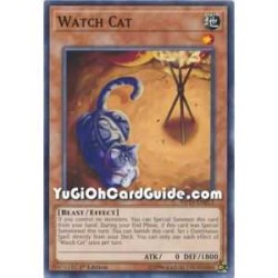 Watch Cat (Common)