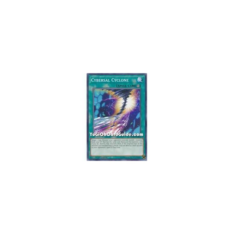 Cybersal Cyclone (Common)