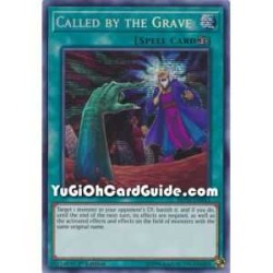 Called by the Grave...