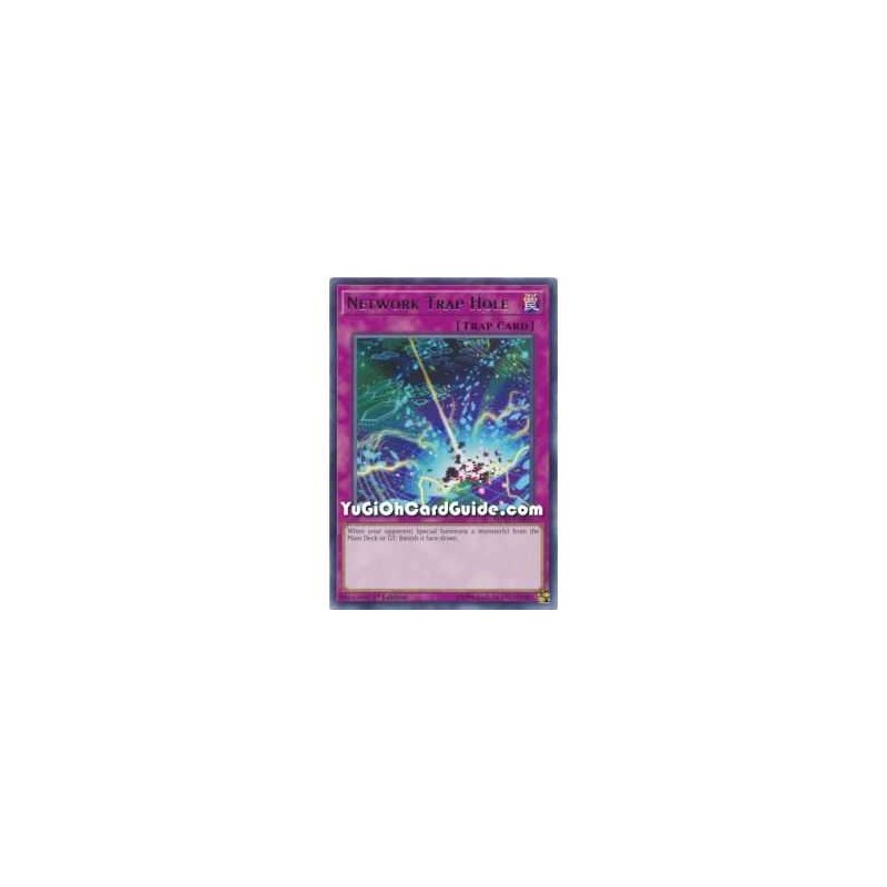 Network Trap Hole (Rare)
