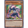 Gouki Moonsault (Common)
