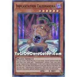 Impcantation Talismadra...