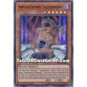 Impcantation Talismadra...