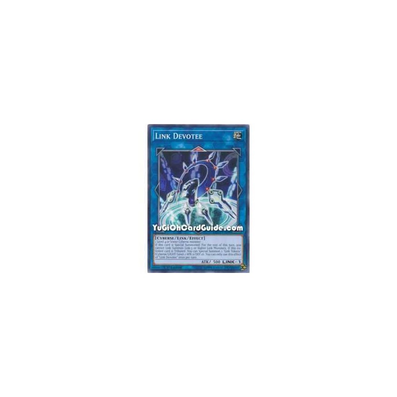 Link Devotee (Common)
