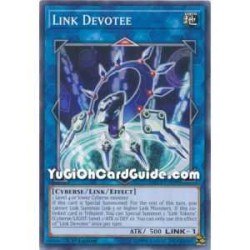 Link Devotee (Common)