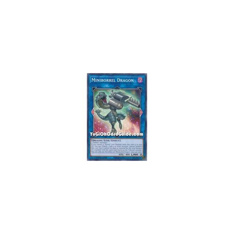 Miniborrel Dragon (Common)