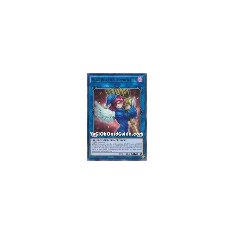 Wee Witchs Apprentice (Rare)
