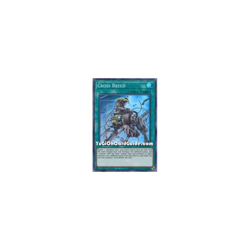 Cross Breed (Super Rare)