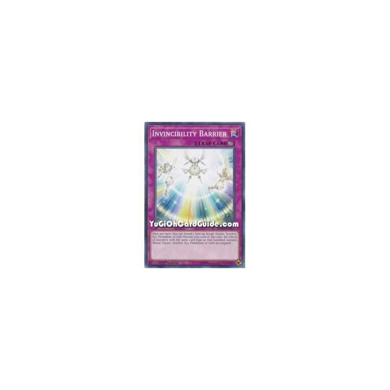 Invincibility Barrier (Common)