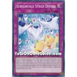 Subsurface Stage Divers...