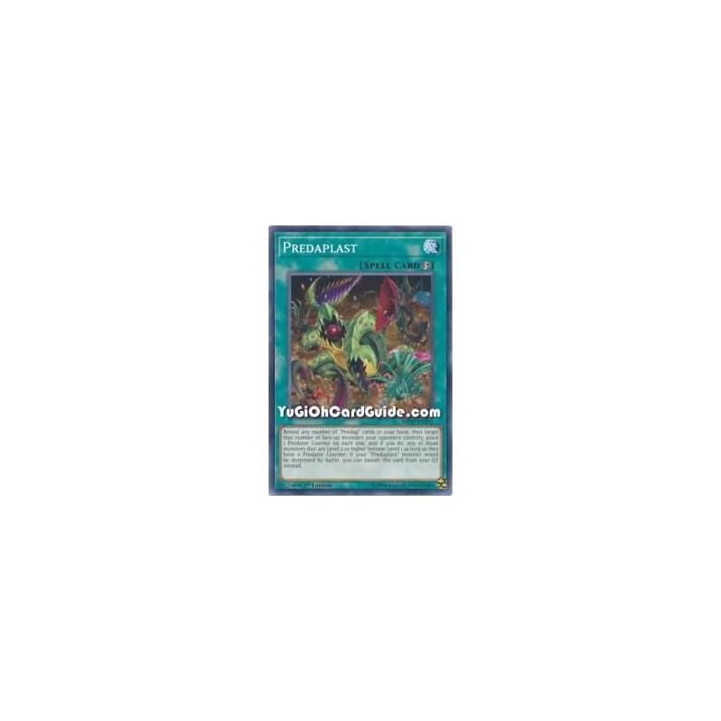 Predaplast (Common)