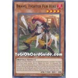 Bravo, Fighter Fur Hire...