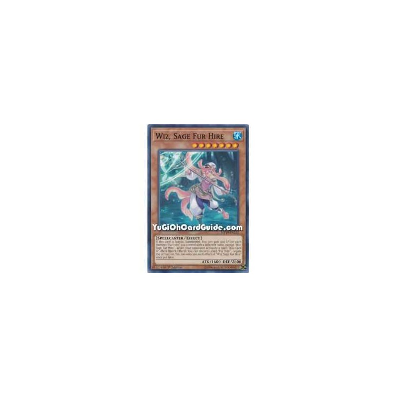 Wiz, Sage Fur Hire (Common)