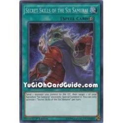 Secret Skills of the Six...