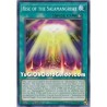 Rise of Salamangreat (Common)