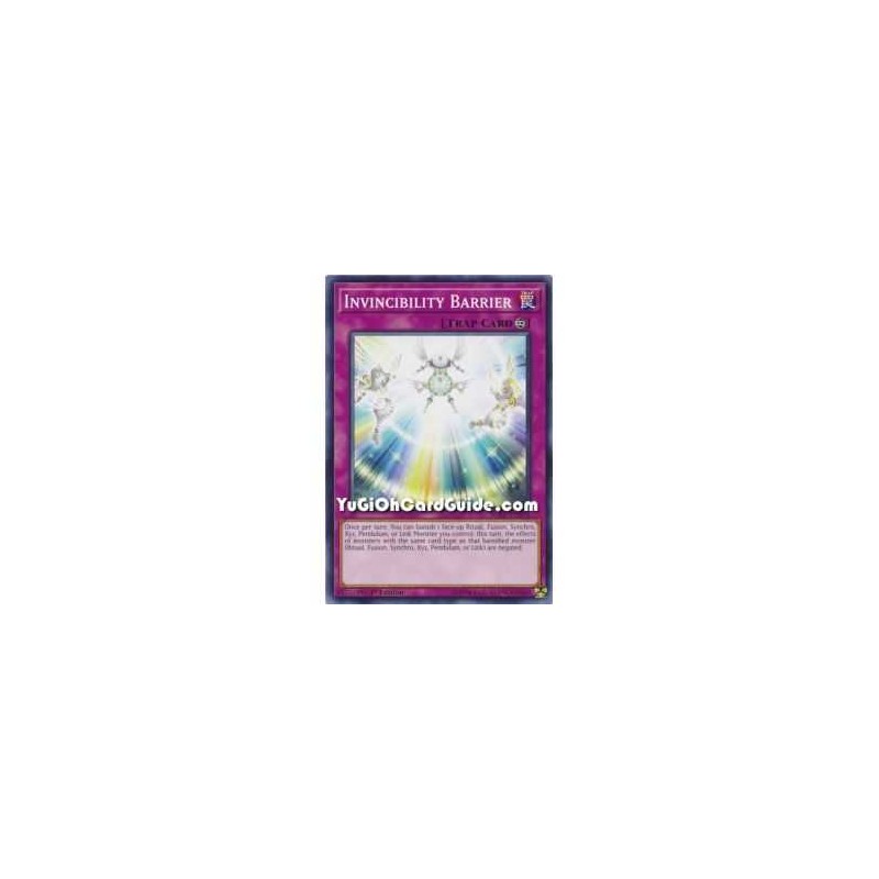 Invincibility Barrier (Common)