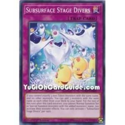 Subsurface Stage Divers...