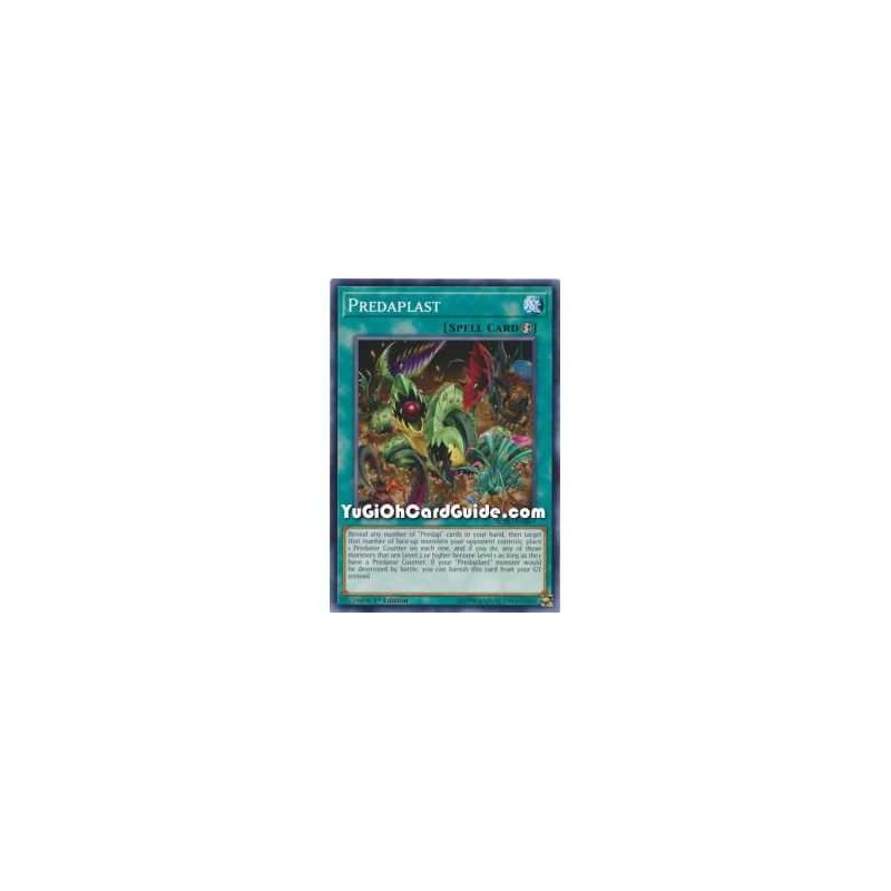 Predaplast (Common)