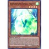 Adamancipator Crystal -...