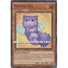 Fluffal Cat (Common)