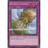 Qlimate Change (Common)