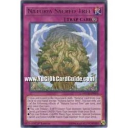 Naturia Sacred Tree (Rare)