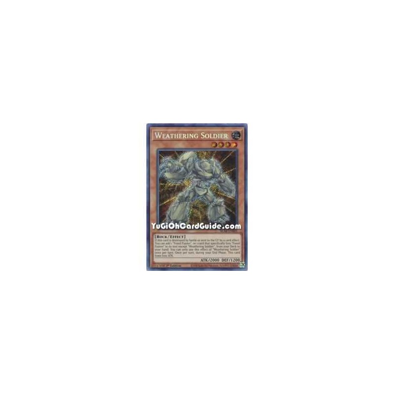 Weathering Soldier (Secret...