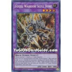 Fossil Warrior Skull Bone...