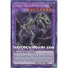 Fossil Dragon Skullgios...
