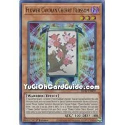 Flower Cardian Cherry...