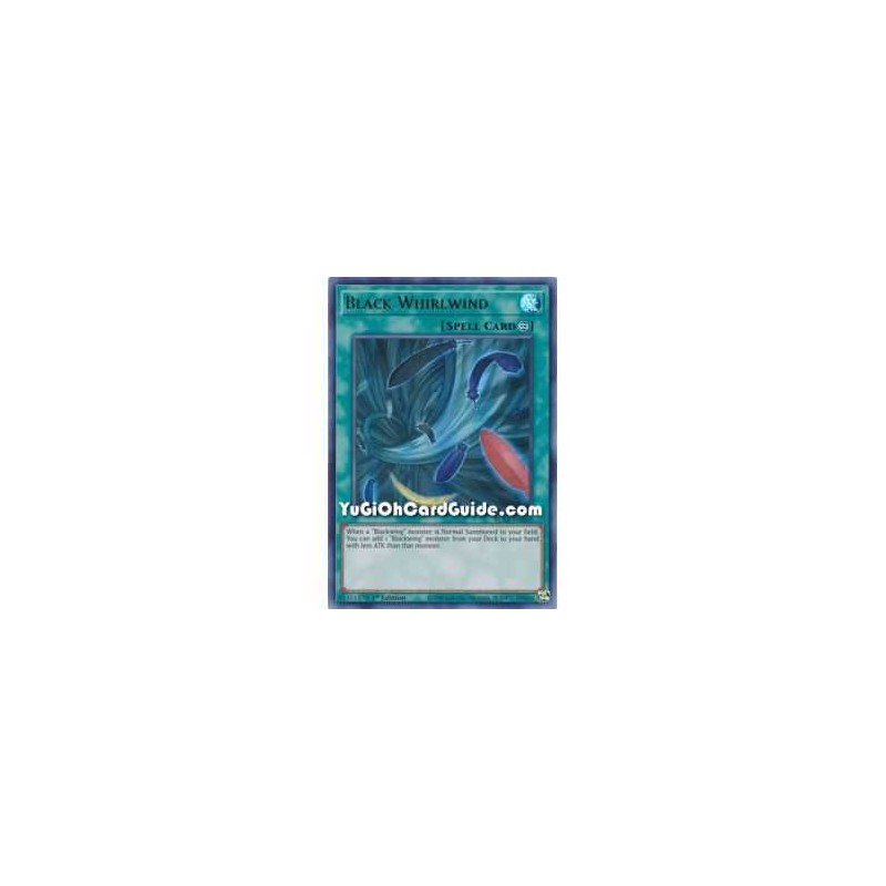 Black Whirlwind (Ultra Rare)