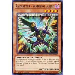 Raidraptor - Vanishing...