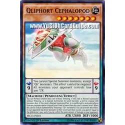 Qliphort Cephalopod (Super...