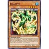 Jigabyte (Common)