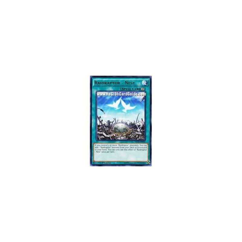 Raidraptor - Nest (Rare)