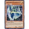 Swordsman of Revealing...