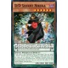 D/D Savant Nikola (Common)