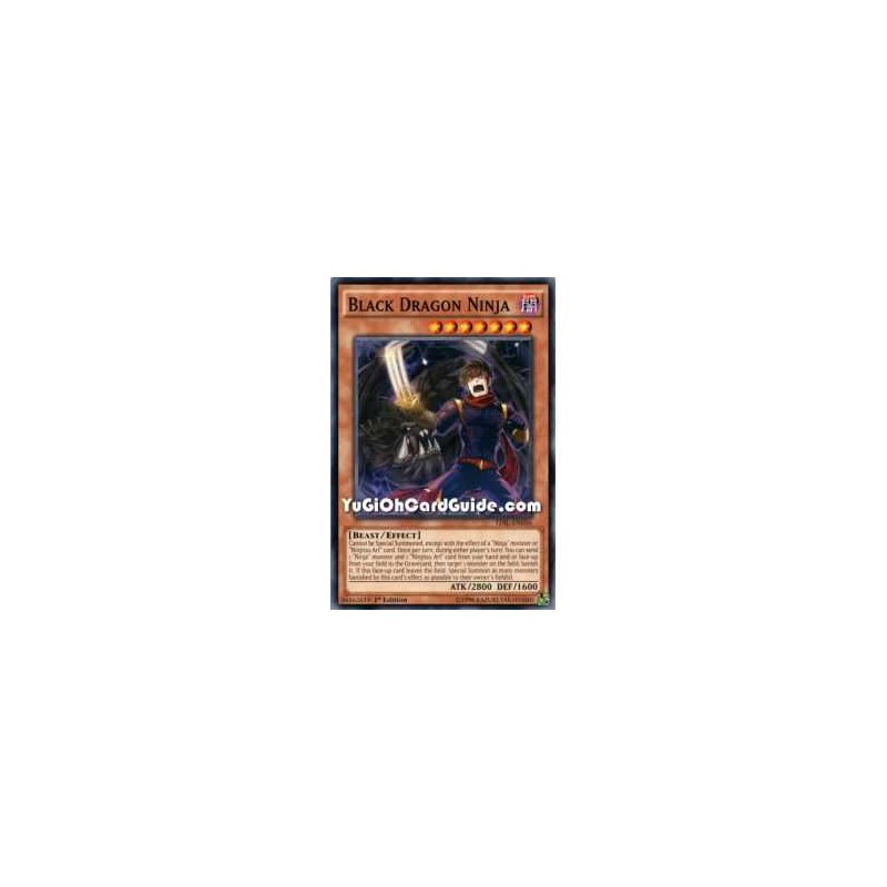 Black Dragon Ninja (Common)