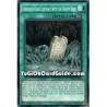 Forbidden Dark Contract...