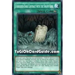 Forbidden Dark Contract...