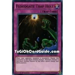 Floodgate Trap Hole (Ultra...