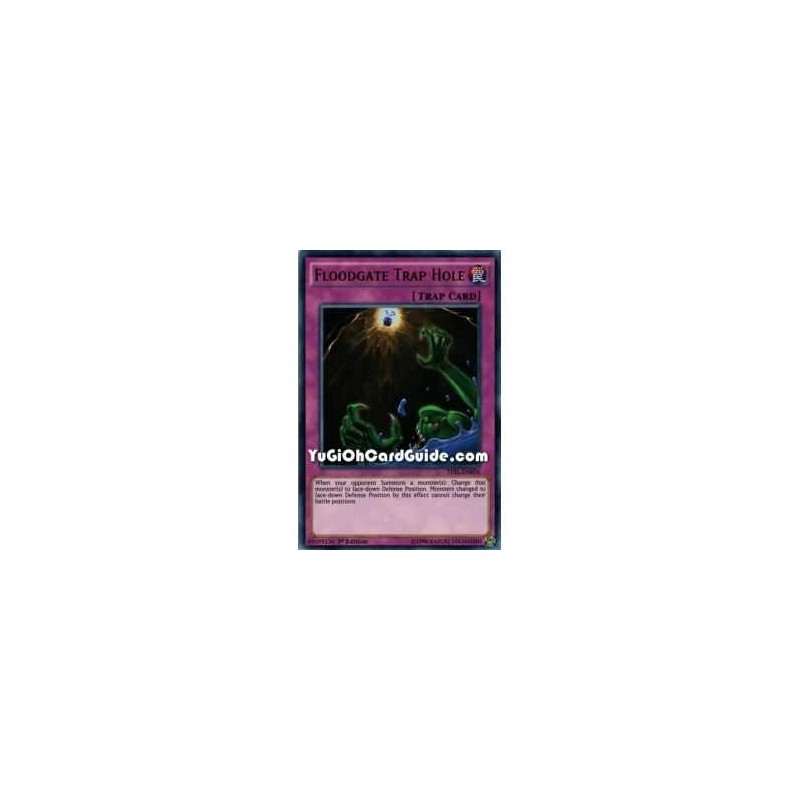Floodgate Trap Hole (Ultra...