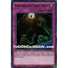 Floodgate Trap Hole (Ultra...