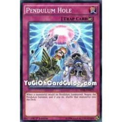 Pendulum Hole (Common)
