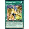 Empowerment (Common)