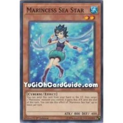 Marincess Sea Star (Common)